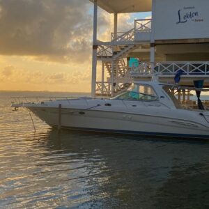 (46 FT) Sea Ray - Hghln - 15 a 20 pax