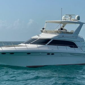 (50 FT) Sea Ray Flybridge - 15 - 20 Pax