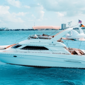 (50 ft) Sea Ray Flybridge - Smnky - 18 a 22 pax