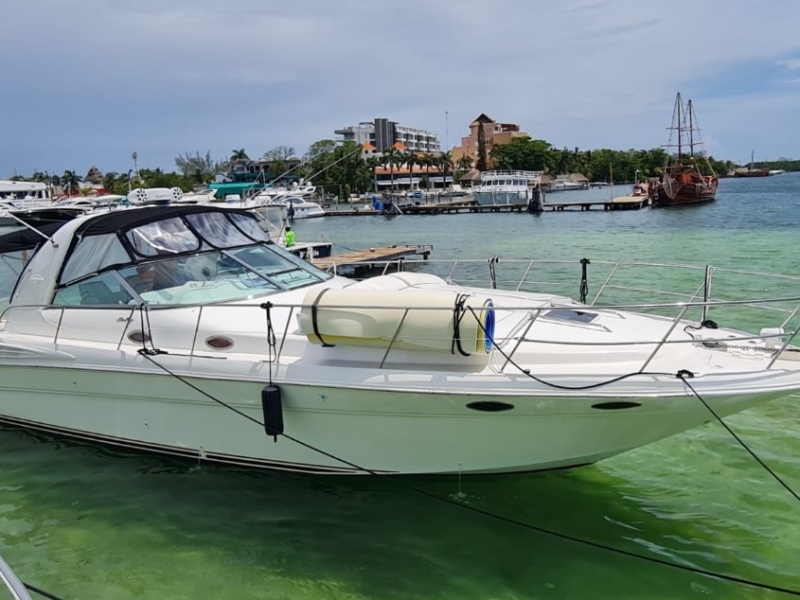 (40 ft) Sensus Vitae - 15 pax - 12