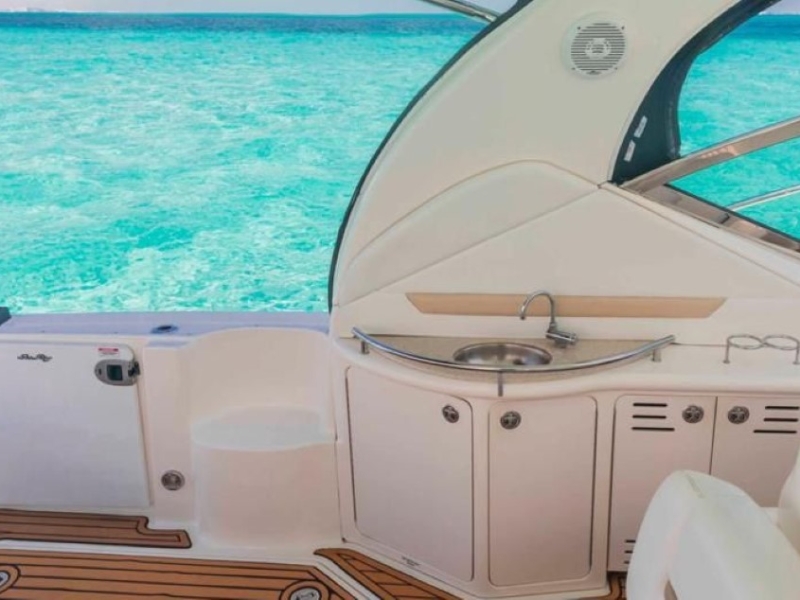 (44 ft) Habibi - 12 pax - 10