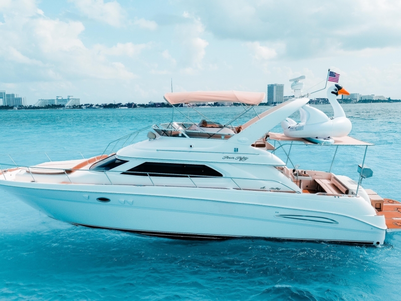 (50 ft) Sea Ray Flybridge (2)
